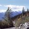 Whistler 1971