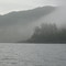 Shoreline east of Songhees Creek