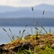 Bluffs Park, Galiano Island, BC