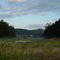 Mud flats at Montague