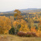 picnic site in fall