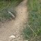 Bumpy gravel  bike trail (Pontiac Lake State Recreation Area, MI)