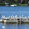 Keep out, This is ours (Lake Oakland)