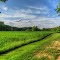 Drayton Plains Nature Center
