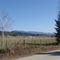 Hay field, Dragon Mountain