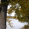 river walk in quesnel