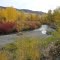 autumn colours