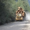 Tipella Creek Logging Truck