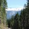 Looking east from Trethaway Creek