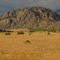 Golden Grasslands in the Foreground, Magnificent Mountains in the Background Near Osoyoos BC Sep '10