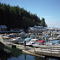 TELEGRAPH COVE