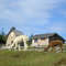 Sointulia Lodge