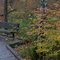 Naturepark in November