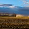 Dawson Creek barn II