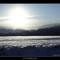 Winterbright