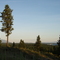 Kikomun Creek Provincial Park - View South Overlooking Lake Koocanusa