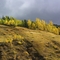 Highway 3, Cranbrook-Fernie, British Columbia, Canada