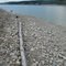 Driftwood And Rocky Shores - Serene Scenery On Lake Koocanusa South Of Cranbrook BC Jul '11