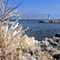 Lakeshore, Grimsby, Ontario
