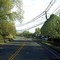 Candelwood Lake Road