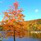 Candlewood Lake in Fall