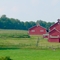 Happy Acres Farm