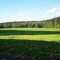 big field on mountain top