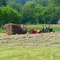 Baling hay