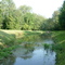 Pond at Mike and Karens