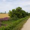 Belwood Trail
