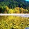Inch Creek Mission, BC