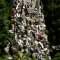 Shoe Tree