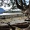 Butze Rapids Trail