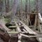 Broken Bridge
