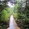 Spruce Lake