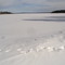 Green lake frozen