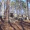 Boulders along Falls Lake Trail