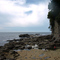 Botanical beach