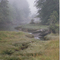 Misty Port Renfrew British Columbia