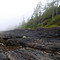 Botanical Beach