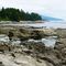 Botanical Beach, near Port Renfrew, Victoria Island BC July 2009