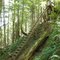 1st Ladder on West Coast Trail from Gordon River Trailhead