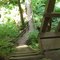 Ladders near high point on West Coast Trail, Vancouver Island, Canada