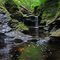 Payzant Creek