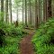 West Coast Trail Favorite