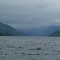 East arm