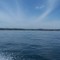 Oak Bay Marina
