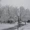 Winter Storm