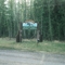 Welcome to Buffalo Narrows