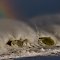 The spectrum of visible light broken down into it's individual wave lengths. Canada.